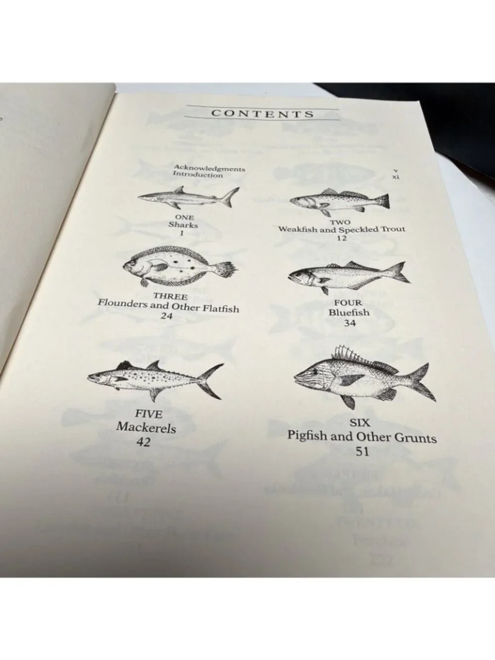 Saltwater Fish Cookbook by A. D.‎ Livingston 1997 1st Edition